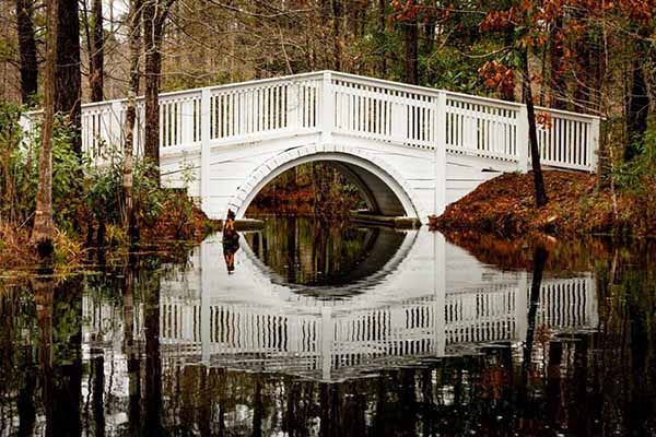 Moncks Corner communities